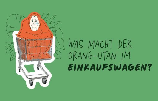 Aktionstag Palmöl: Was macht der Orang-Utan in meinem Einkaufswagen?