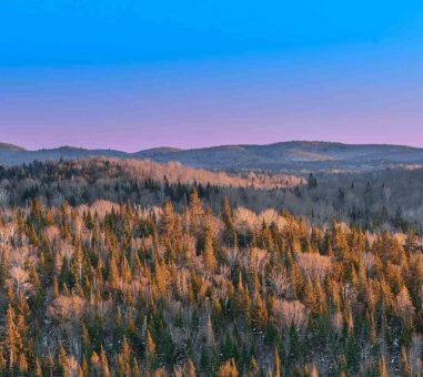 Abitibi Metals schließt Bohrphase Zwei mit exzellenten Ergebnissen ab