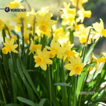 It’s springtime!