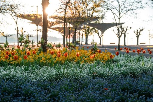 GartenZeit & WeinGenuss: Gartenjahr 2025 in Konstanz und am Bodensee