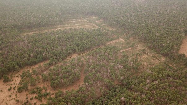 EU, Land und Region Hannover starten mit 34 Millionen Euro in Großprojekt für die Moore und ein gutes Klima