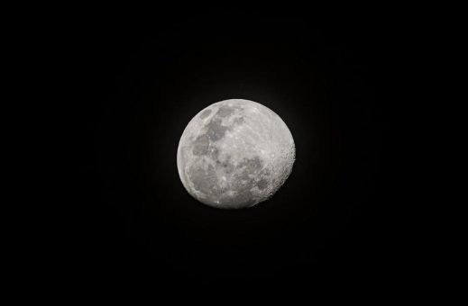 Vollmond-Wanderungen durch den Wald am Ahlenmoor