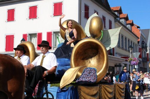 Heidelbeere, Zwetschge und Co.