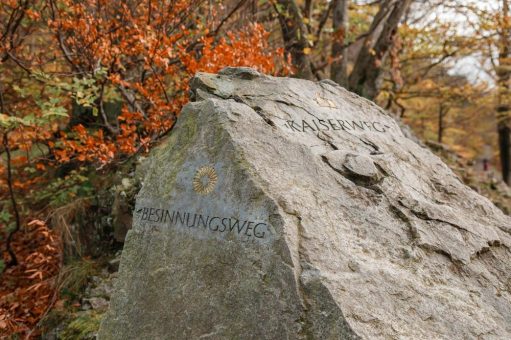 Auf in den Frühling – Afterwork-Wanderung