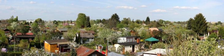 Auf dem Weg zur Sicherung von Berlins Kleingartenflächen