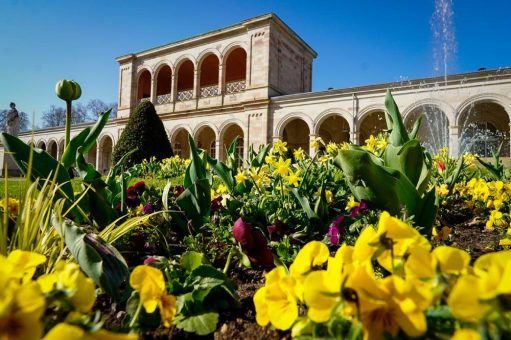 Erleben Sie den Frühling in Bad Kissingen