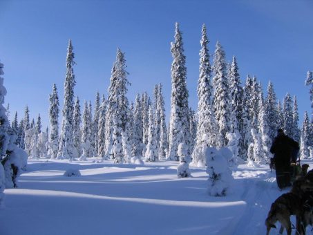 Weihnachten im Schnee