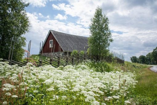 Rundreise durch Südschweden und Kopenhagen