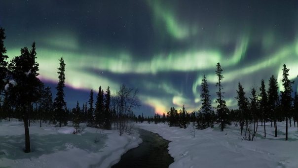 Fotokurs im Abisko Nationalpark