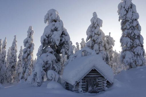 Winterwoche in der Valkea Lodge