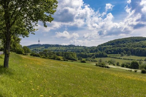 „Ohne florierende ländliche Räume gibt es kein Europa“