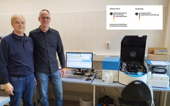 Neues Forschungsprojekt untersucht Proteinverarbeitung aus Insekten für nachhaltige Lebensmittelproduktion