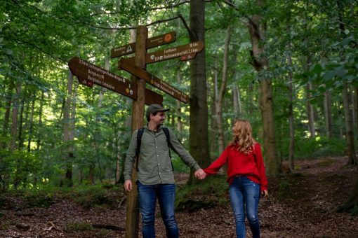 Frühjahrsblüher entdecken – Afterwork-Wanderung