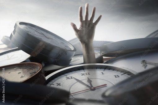 Kompetenz auf Zeit für die zweite Reihe: Interim-Strategien im Projektmanagement