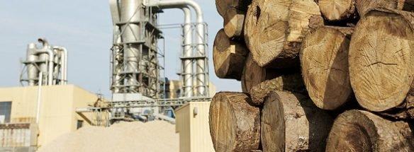 Homann Holzwerkstoffe GmbH mit Umsatzrückgang im ersten Halbjahr 2023