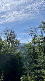 Auf Schusters Rappen – Afterwork-Wanderung