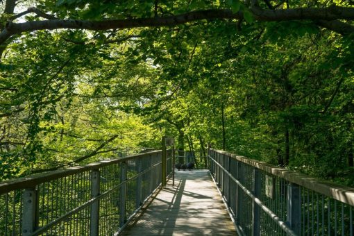 Yoga auf dem Baumwipfelpfad am 19. Mai mit Kursleiterin Andrea Bönig
