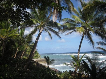 Die DomRep kann auch anders: aktiv durchs Karibikparadies