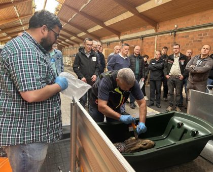 Kampf gegen ASP: Krug: „Das funktioniert nur im Team“