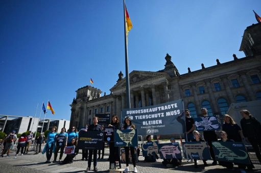 Protest für den Erhalt der Bundestierschutzbeauftragten: Tierschutzorganisationen fordern klare politische Entscheidung für den Tierschutz