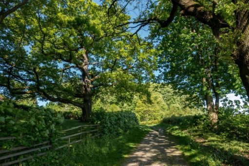Kaiserweg und Eichenberg-Rundweg