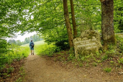 Wanderangebot des Harzklub Bad Harzburg im Monat Juni