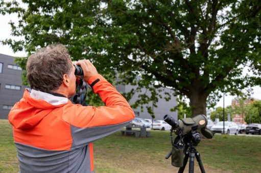 Was fliegt denn da? – Entdeckungsreise durch die Vogelwelt auf dem Lübecker Campus