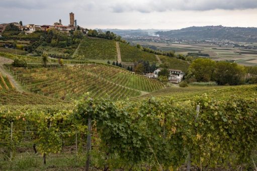 UNESCO-Landschaften im Piemonte: Wo Fässer rollen und Kunst im Weinberg steckt