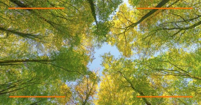TÜV NORD: Managementsysteme im Einklang mit Klimaschutz – praktische Handlungsempfehlungen