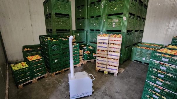 Kaltnebel-Desinfektion für Lebensmittel: Innovativer Ansatz für längere Haltbarkeit?