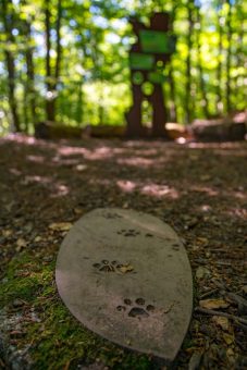 Wanderung auf dem Wildkatzenstieg zum Wildkatzengehege