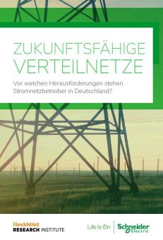 Zukunftsfähige Verteilnetze: Schneider Electric und HRI präsentieren Umfrage zur Transformation der Stromnetzinfrastruktur