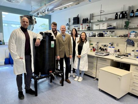 Alle guten Dinge sind drei: Dyphox ist zurück