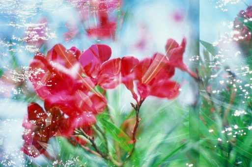 Nach dem Krebs zurück ins Leben: Subtle Body Balance nach der Göthert-Methode unterstützt die Rekonvaleszenz
