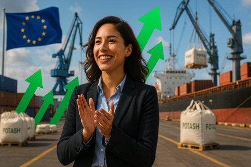 Potash-Aktie dreht wieder!