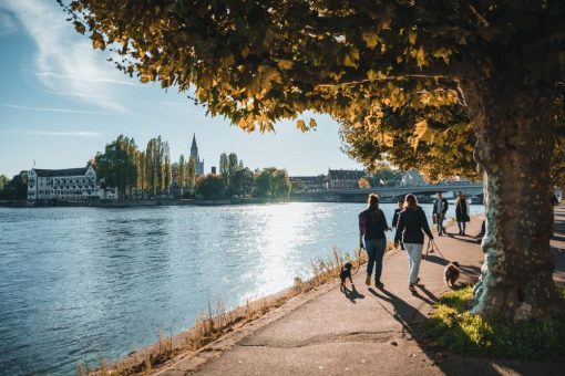 Herbst-Highlights, sonnige Rundfahrten & HerbstHopping