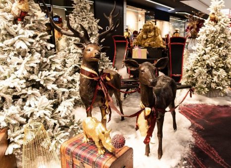 Konstanzer Adventszeit: LichtZauber, GlücksMomente & FotoMotive