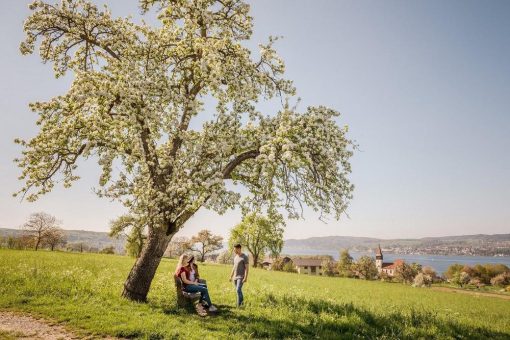 Frühlingsfrisch, bunt, unterhaltsam: Ostererlebnisse in Konstanz 2020