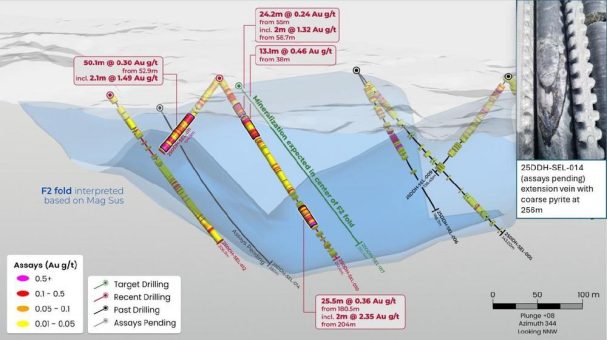 Miata nimmt Golden Hand’s Zentrum ins Visier, nachdem im Goldprojekt Sela Creek in Suriname breite mineralisierte Zonen gebohrt wurden