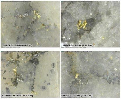 Sitka Gold: Über 200 Meter durchgehende Goldvererzung und überall sichtbares Gold!