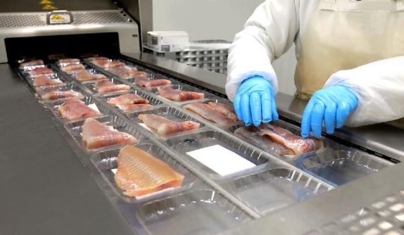 Bizerba erstmalig auf der Seafood Expo Global 2025: Intelligente Lösungen für die Fischverarbeitung