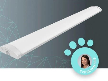 Licht trifft Design: SOFTEDGE von DOTLUX