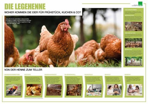 Die Henne und ihr Ei – eine besondere Wertschöpfungskette