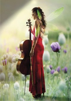 26. Juni 14 Uhr: Ruth Maria Rossel – Cello & Loop machine