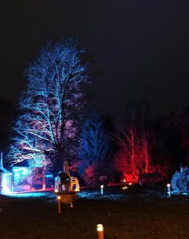 Weihnachtsspaziergang im Lichterwald Birkenried
