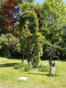 Frühlingsnatur pur: Kulturgewächshaus Birkenried bei gutem Wetter an Pfingsten geöffnet