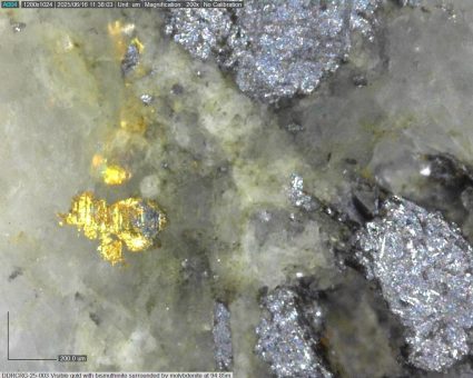 Sitka Gold weist außergewöhnliche Mengen sichtbaren Goldes nach!