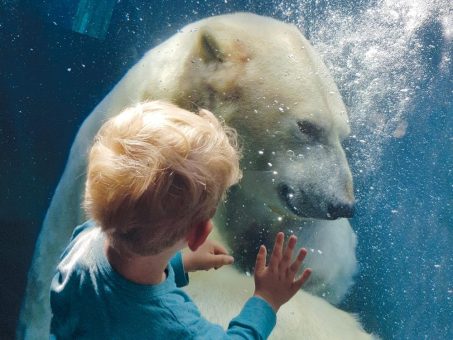 Sommerferien in der Region Hannover: vielfältige Erlebnisse für die ganze Familie!