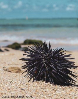 Krank im Urlaub? Gut versichert verreisen