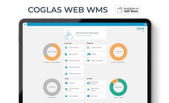 SAP-Schnittstellen zum WMS: So einfach geht´s